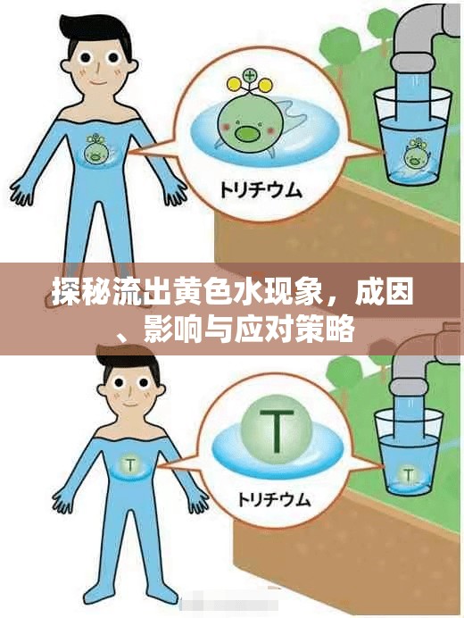 探秘流出黃色水現(xiàn)象，成因、影響與應(yīng)對策略