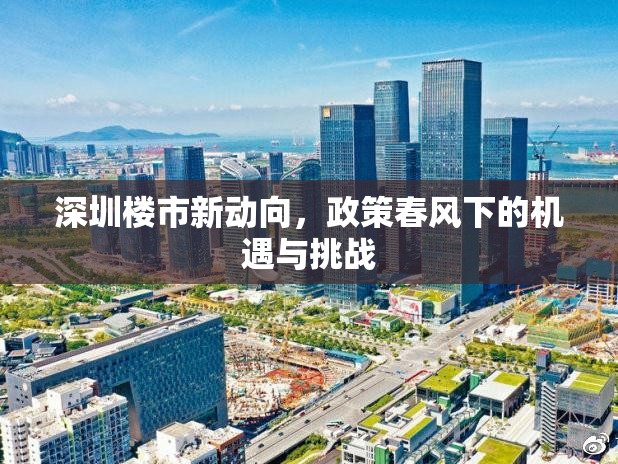 深圳樓市新動向，政策春風(fēng)下的機遇與挑戰(zhàn)