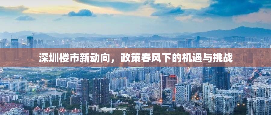 深圳樓市新動向，政策春風(fēng)下的機遇與挑戰(zhàn)