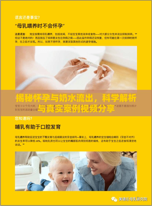 揭秘懷孕與奶水流出，科學(xué)解析與真實案例視頻分享
