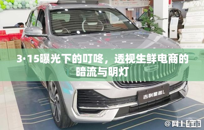 3·15曝光下的叮咚，透視生鮮電商的暗流與明燈
