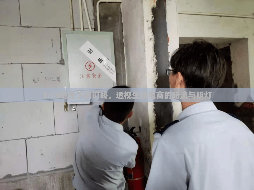 3·15曝光下的叮咚，透視生鮮電商的暗流與明燈