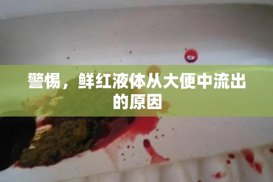 警惕，鮮紅液體從大便中流出的原因
