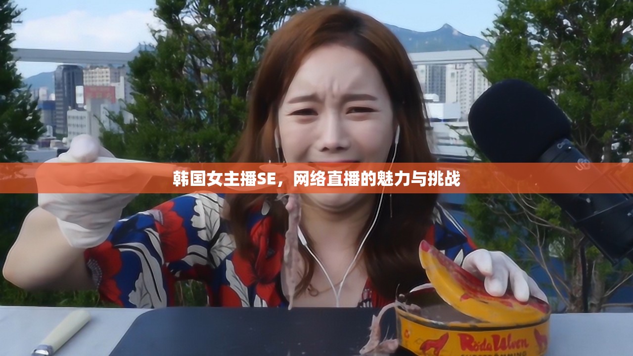 韓國女主播SE，網(wǎng)絡(luò)直播的魅力與挑戰(zhàn)