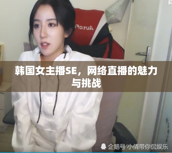 韓國女主播SE，網(wǎng)絡(luò)直播的魅力與挑戰(zhàn)