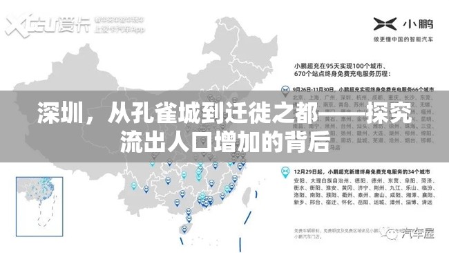深圳，從孔雀城到遷徙之都——探究流出人口增加的背后
