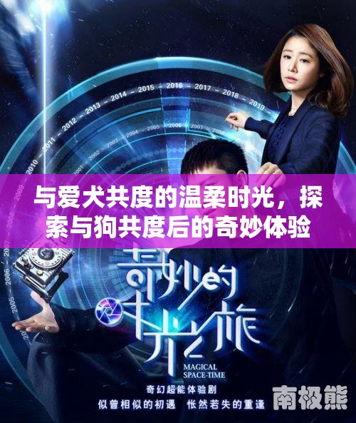 與愛犬共度的溫柔時(shí)光，探索與狗共度后的奇妙體驗(yàn)