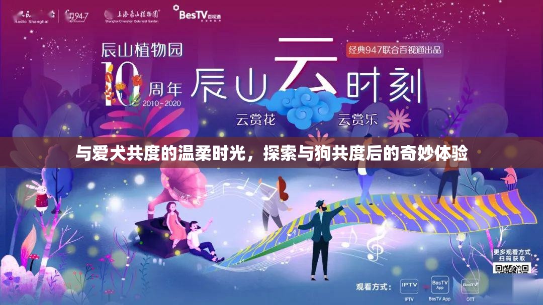 與愛犬共度的溫柔時(shí)光，探索與狗共度后的奇妙體驗(yàn)