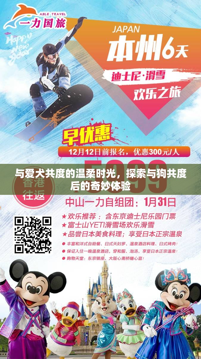 與愛犬共度的溫柔時(shí)光，探索與狗共度后的奇妙體驗(yàn)