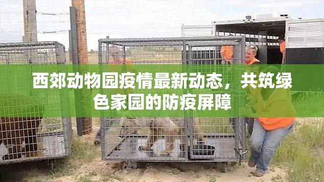 西郊動物園疫情最新動態(tài)，共筑綠色家園的防疫屏障