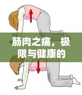 腸肉之痛，極限與健康的警世寓言