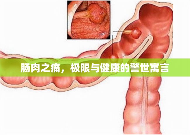 腸肉之痛，極限與健康的警世寓言