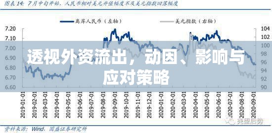 透視外資流出，動因、影響與應對策略