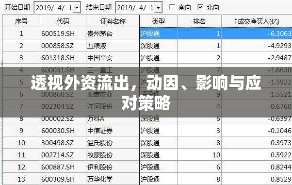 透視外資流出，動因、影響與應對策略