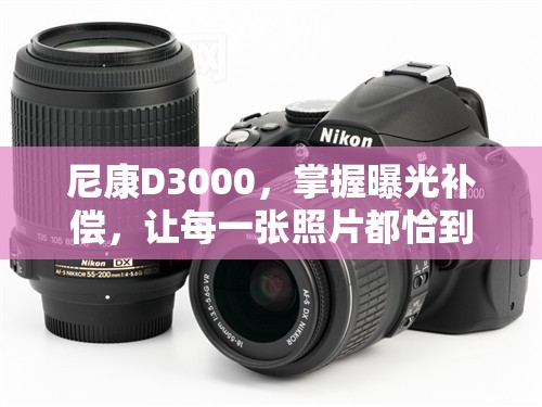 尼康D3000，掌握曝光補(bǔ)償，讓每一張照片都恰到光影之處