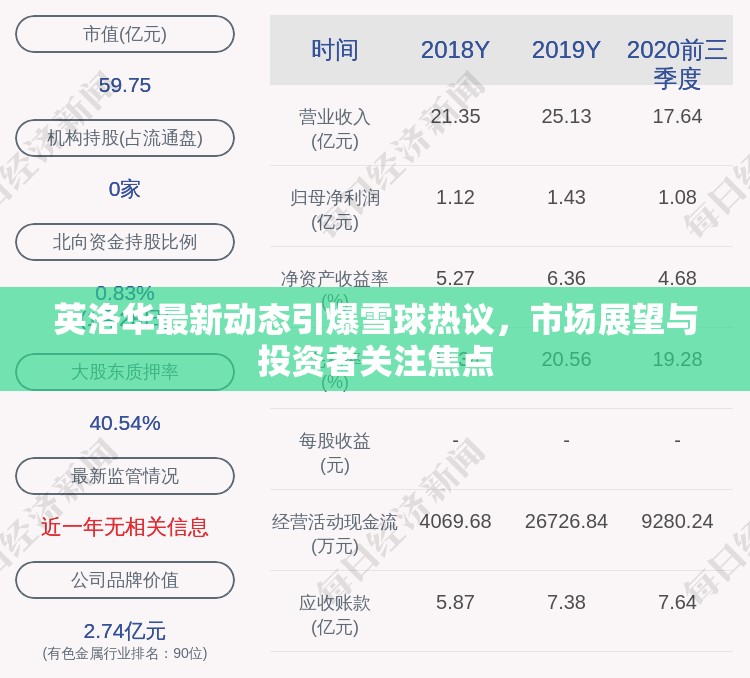 英洛華最新動(dòng)態(tài)引爆雪球熱議，市場展望與投資者關(guān)注焦點(diǎn)