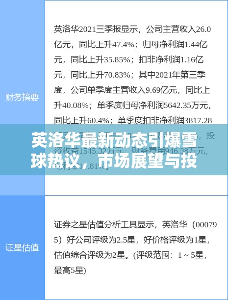 英洛華最新動(dòng)態(tài)引爆雪球熱議，市場展望與投資者關(guān)注焦點(diǎn)