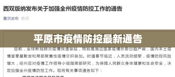平原市疫情防控最新通告