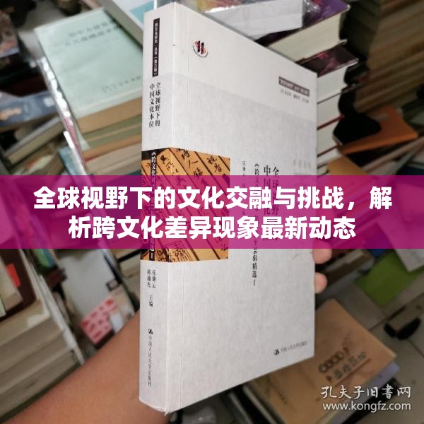 全球視野下的文化交融與挑戰(zhàn)，解析跨文化差異現(xiàn)象最新動(dòng)態(tài)