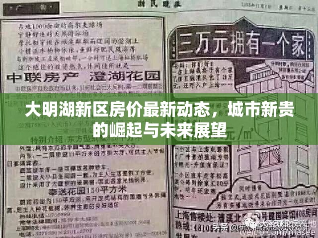 大明湖新區(qū)房價(jià)最新動(dòng)態(tài)，城市新貴的崛起與未來展望