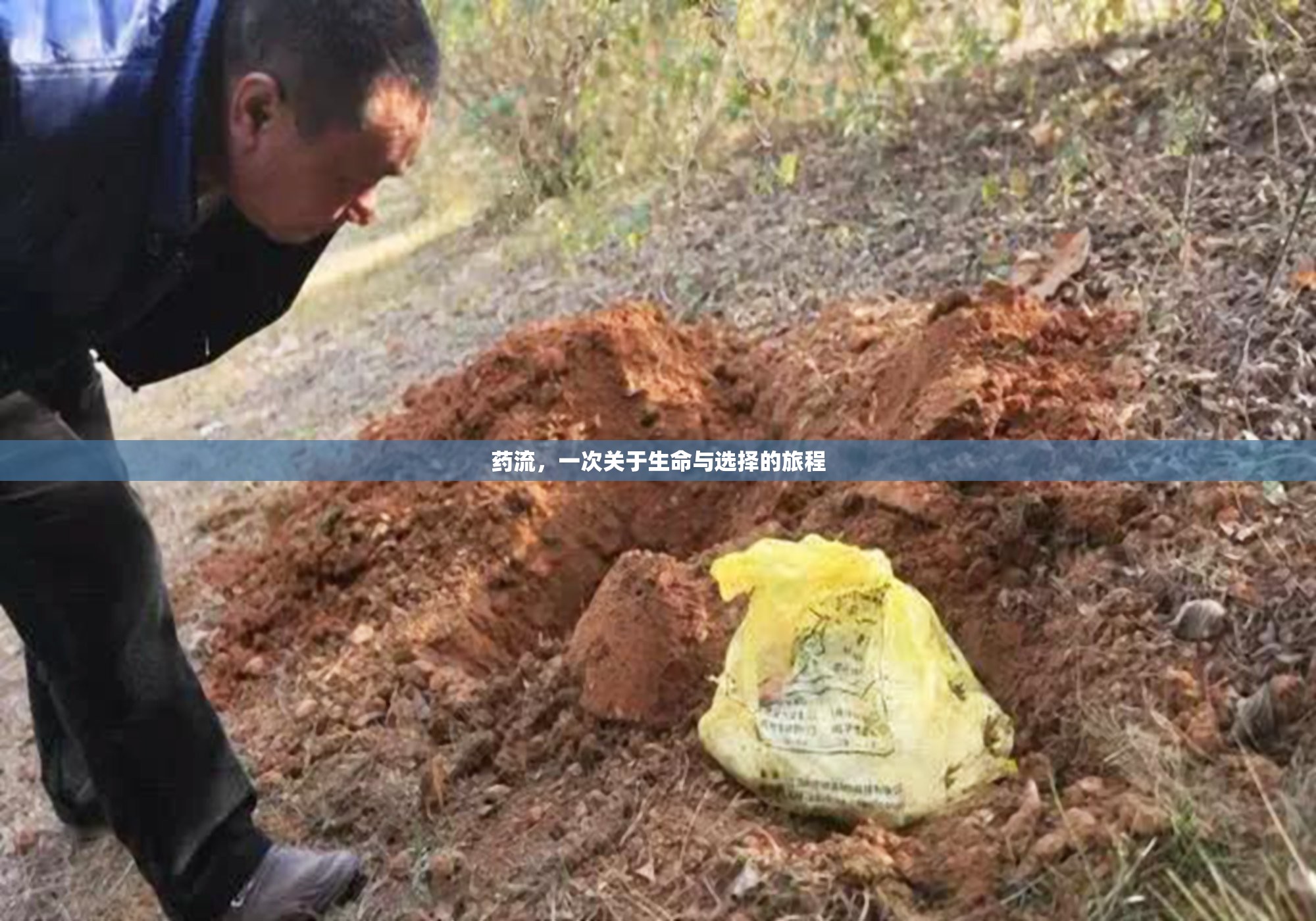 藥流，一次關(guān)于生命與選擇的旅程