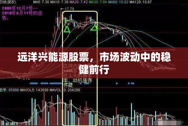 遠洋興能源股票，市場波動中的穩(wěn)健前行