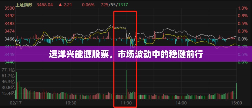 遠洋興能源股票，市場波動中的穩(wěn)健前行
