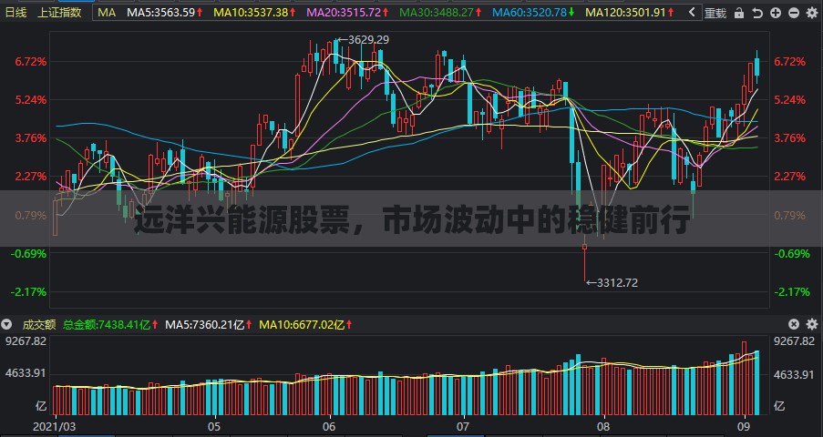 遠洋興能源股票，市場波動中的穩(wěn)健前行