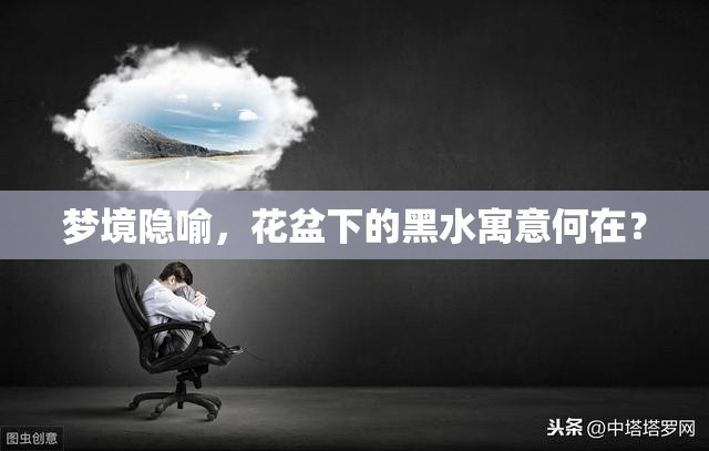 夢(mèng)境隱喻，花盆下的黑水寓意何在？