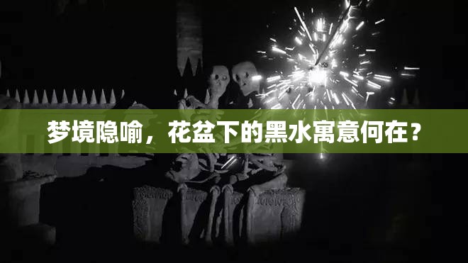 夢(mèng)境隱喻，花盆下的黑水寓意何在？