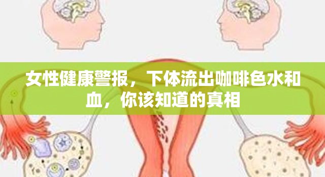 女性健康警報，下體流出咖啡色水和血，你該知道的真相