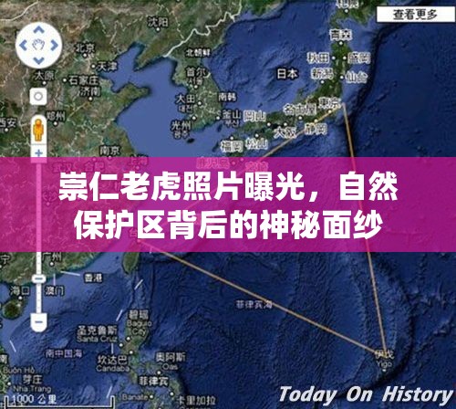 崇仁老虎照片曝光，自然保護區(qū)背后的神秘面紗