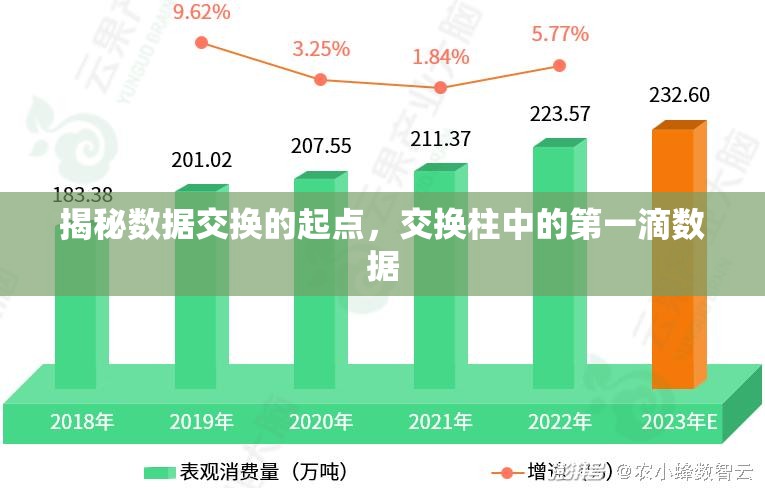 揭秘數(shù)據(jù)交換的起點，交換柱中的第一滴數(shù)據(jù)