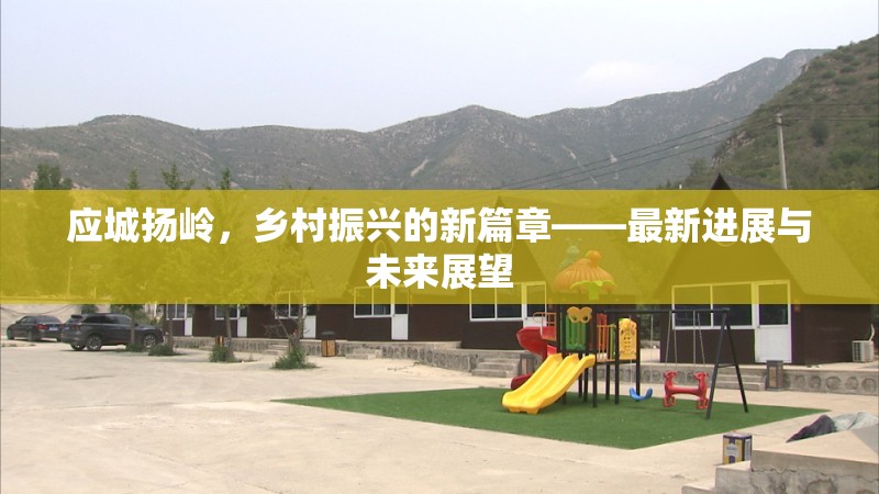 應(yīng)城揚嶺，鄉(xiāng)村振興的新篇章——最新進展與未來展望