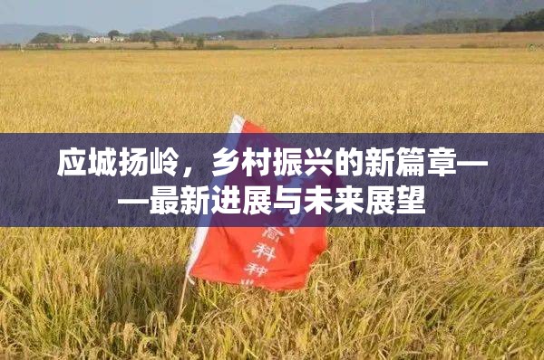 應(yīng)城揚嶺，鄉(xiāng)村振興的新篇章——最新進展與未來展望
