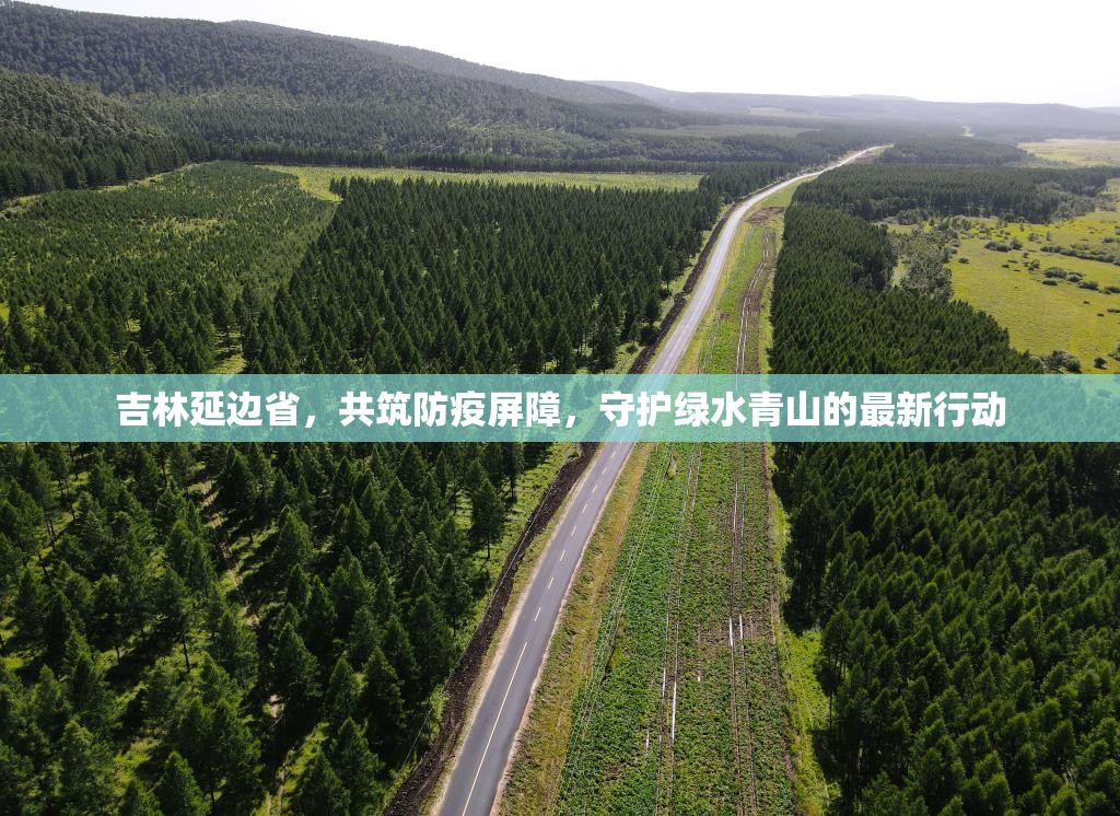吉林延邊省，共筑防疫屏障，守護(hù)綠水青山的最新行動(dòng)