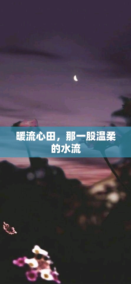 暖流心田，那一股溫柔的水流
