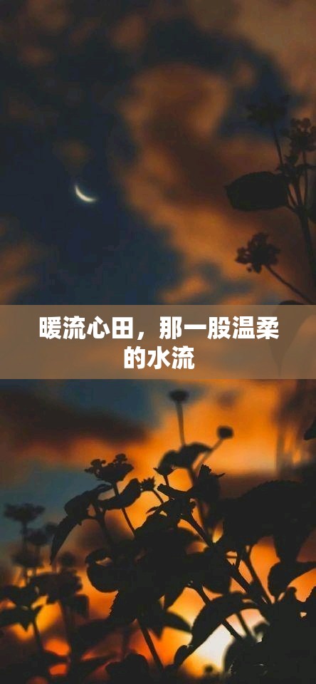 暖流心田，那一股溫柔的水流