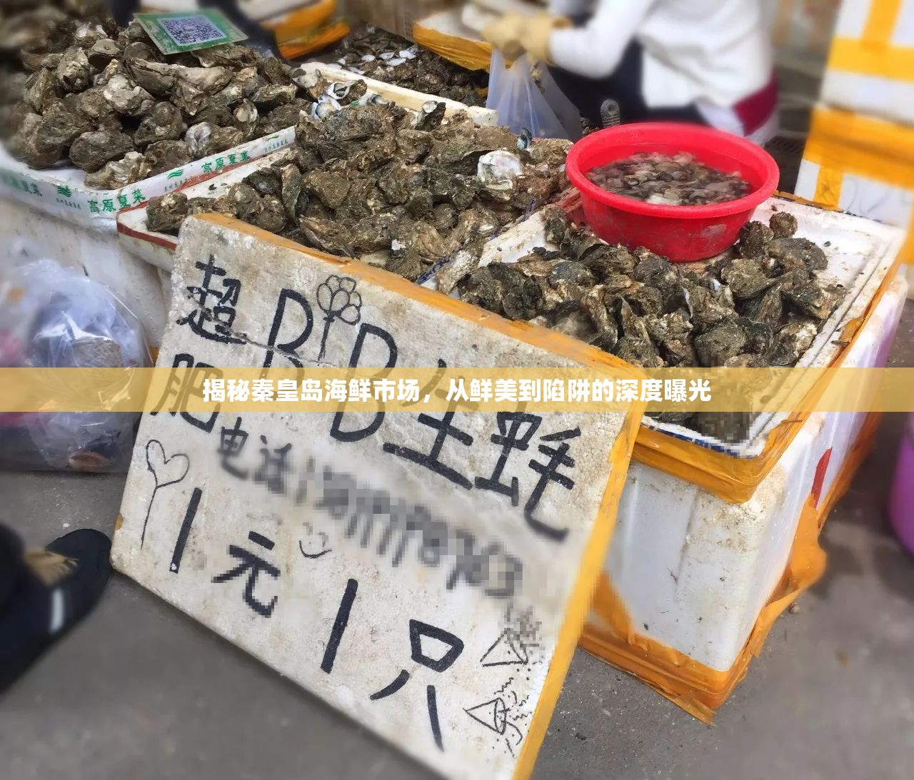 揭秘秦皇島海鮮市場，從鮮美到陷阱的深度曝光