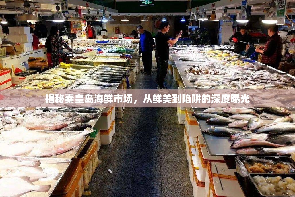揭秘秦皇島海鮮市場，從鮮美到陷阱的深度曝光