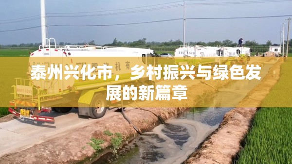 泰州興化市，鄉(xiāng)村振興與綠色發(fā)展的新篇章