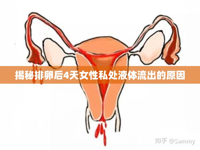 揭秘排卵后4天女性私處液體流出的原因