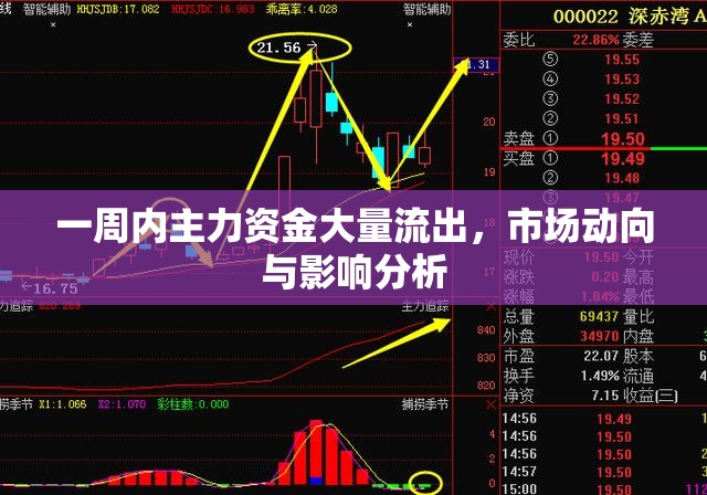 一周內(nèi)主力資金大量流出，市場(chǎng)動(dòng)向與影響分析