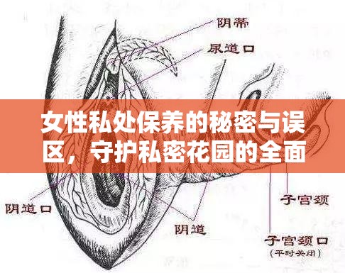 女性私處保養(yǎng)的秘密與誤區(qū)，守護私密花園的全面指南