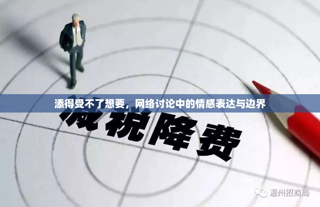 添得受不了想要，網(wǎng)絡(luò)討論中的情感表達(dá)與邊界