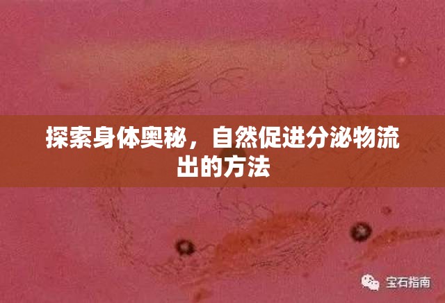探索身體奧秘，自然促進(jìn)分泌物流出的方法