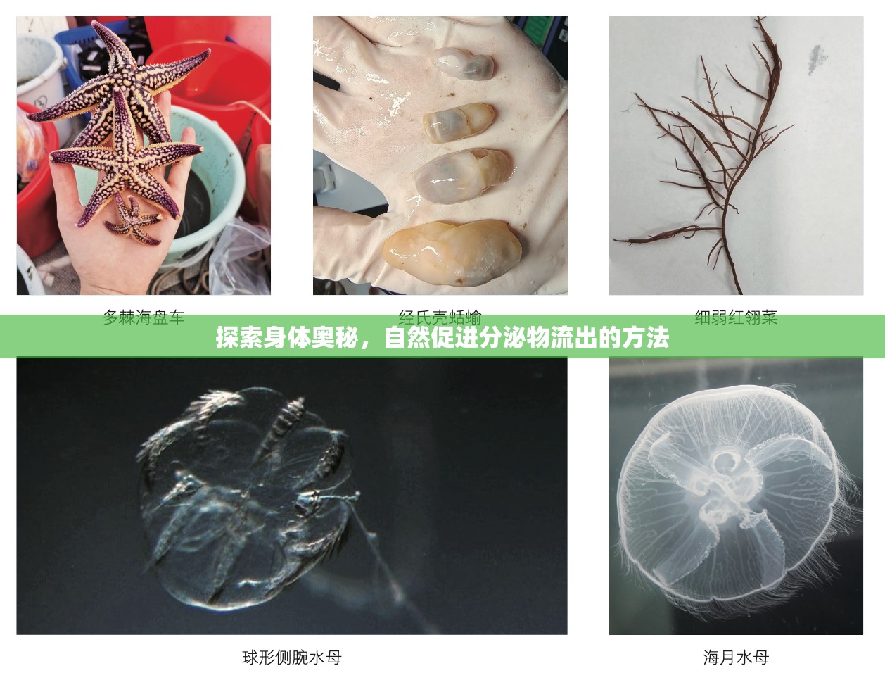 探索身體奧秘，自然促進(jìn)分泌物流出的方法