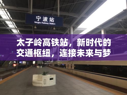 太子嶺高鐵站，新時(shí)代的交通樞紐，連接未來(lái)與夢(mèng)想的橋梁