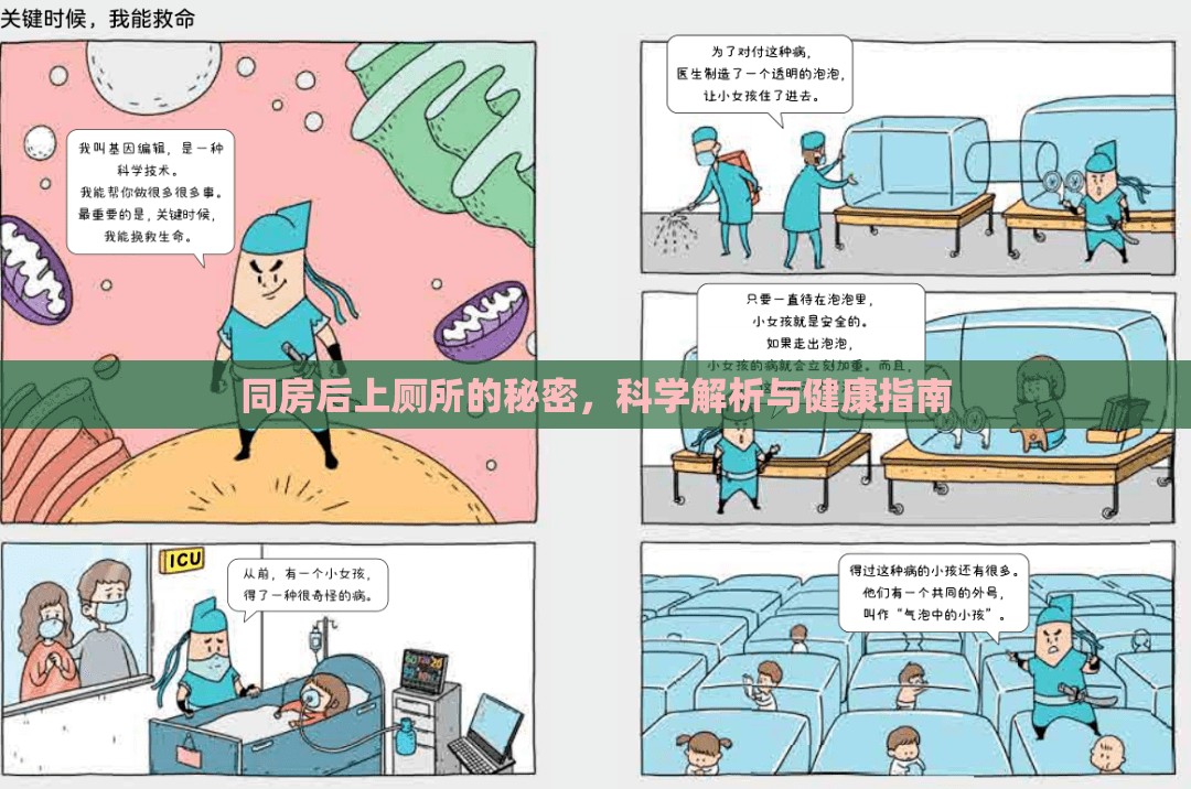 同房后上廁所的秘密，科學(xué)解析與健康指南