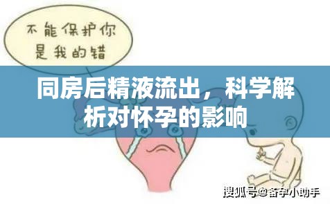 同房后精液流出，科學解析對懷孕的影響